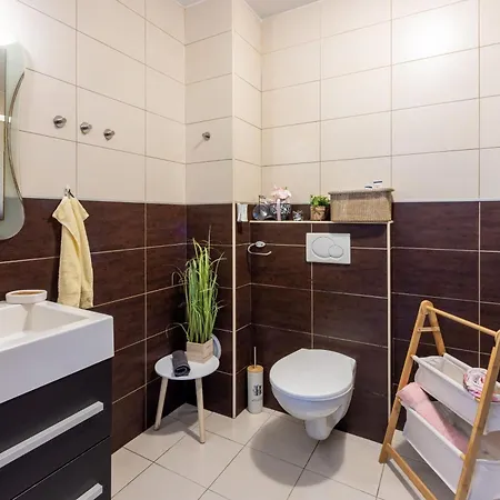 Deni ツリクヴェニツァ